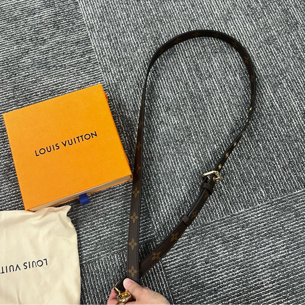 LOUIS VUITTON MONOGRAM PURSE STRAP
